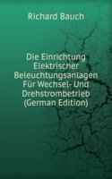 Die Einrichtung Elektrischer Beleuchtungsanlagen Fur Wechsel- Und Drehstrombetrieb (German Edition)