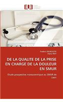 de La Qualite de La Prise En Charge de La Douleur En Smur