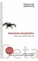 Avicularia Ancylochira