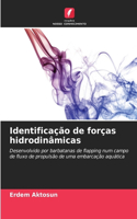 Identificação de forças hidrodinâmicas