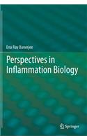 Perspectives in Inflammation Biology