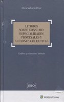 Litigios sobre consumo: especialidades procesales y acciones colectivas: Conflictos y reclamaciones habituales
