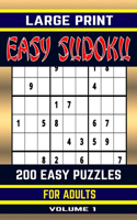 Large Print Easy Sudoku