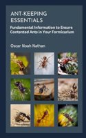 Ant-keeping Essentials