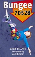 Skyracer Purple â€“ Bungy 70528: Action-packed guided reading for year 5.