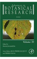 Fungi: (Advances in Botanical Research)