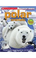 Scholastic Discover More: Polar Animals