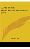 Little Bobtail: Or The Wreck Of The Penobscot (1875)