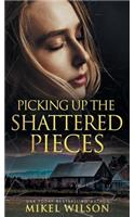 Picking Up The Shattered Pieces