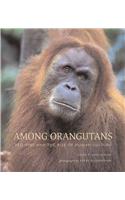 Among Orangutans