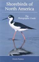 Shorebirds of North America