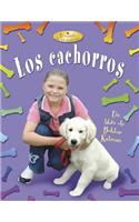 Los Cachorros (Puppies)