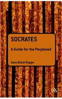 Socrates: A Guide for the Perplexed
