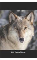Plan On It 2020 Weekly Calendar Planner - Majestic Timber Wolf: January 2020 thru March 2021 15 Month Dated Agenda Notebook