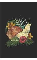 Colorful Snail With Leaves