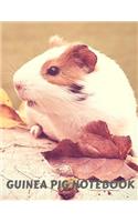 Guinea Pig Notebook