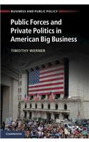 Public Forces and Private Politics in American Big Business