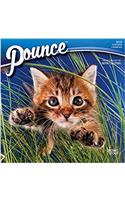 Pounce 2018 Mini Wall Calendar