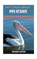 Pelicans: Amazing Pictures and Facts about Pelicans