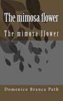 mimosa flower