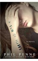 A Sum of Flaws: (English)