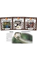 Snakes Set 2