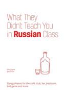 What They Didn't Teach You in Russian Class