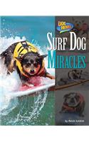 Surf Dog Miracles