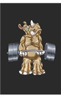 Rhino Deadlift