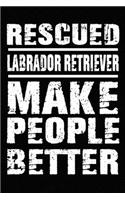 Rescued Labrador Retriever Make People Better