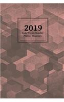 2019 Daily Weekly Monthly Planner Organizer: Schedule Events, Goals and Things to Do - Medium Sized Agenda Notebook with a Dusky Rose Abstract Hexagons Cover Design