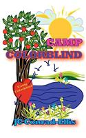 Camp Colorblind