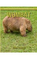 Wombat
