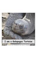 I am a Galapagos Tortoise
