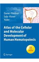 Atlas of the Cellular and Molecular Development of Human Hematopoiesis