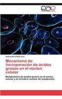 Mecanismo de Incorporación de ácidos grasos en el núcleo celular