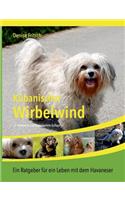 Kubanischer Wirbelwind