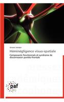 Héminégligence Visuo-Spatiale