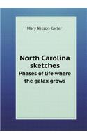 North Carolina Sketches Phases of Life Where the Galax Grows