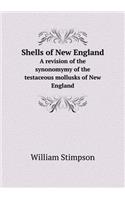 Shells of New England A revision of the synonomymy of the testaceous mollusks of New England: (English)