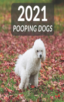 2021 Pooping Dogs: Funny Wall Calendar Gift To Office For Dog Lover, Nice Joke For Friends !!!