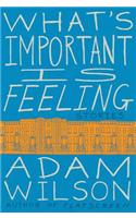 What's Important Is Feeling: Stories