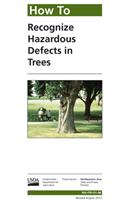 How to Recognize Hazardous Defects in Trees