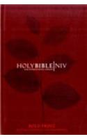NIV Bible