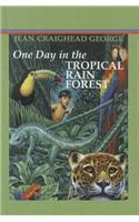 One Day in the Tropical Rainforest