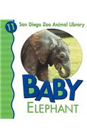 Baby Elephant