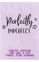 Perfectly Imperfect Cancer Survival One Line A Day Three Year Journal