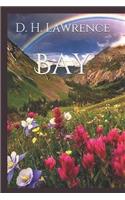 Bay