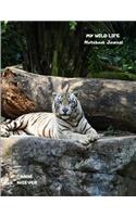 My Wild Life Notebook Journal: A White Tiger Jungle Safari Wildlife Theme Blank Lined Composition Book for Animal Lovers