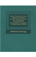 Meine Wasser-Kur, Durch Mehr ALS 30 Jahre Erprobt Und Geschrieben Zur Heilung Der Krankheiten Und Erhaltung Der Gesundheit - Primary Source Edition
